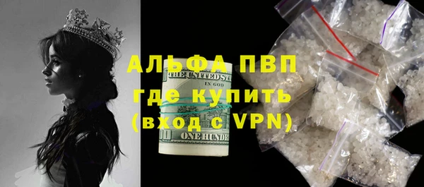 apvp Верея