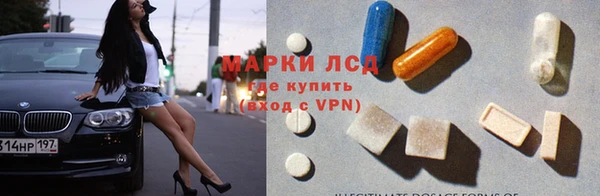 apvp Верея