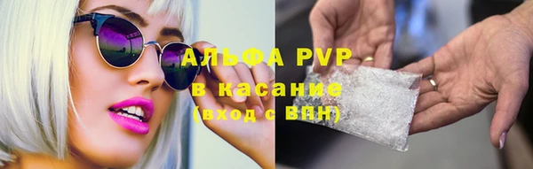 apvp Верея
