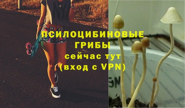MESCALINE Верхний Тагил