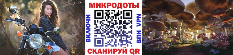 Псилоцибиновые грибы MAGIC MUSHROOMS  Юхнов 